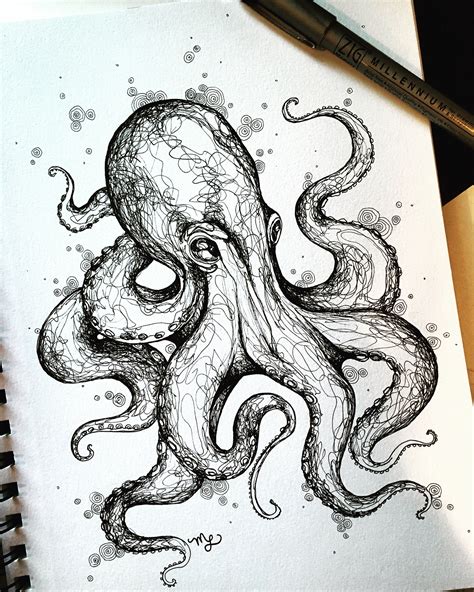 octopus drawing images